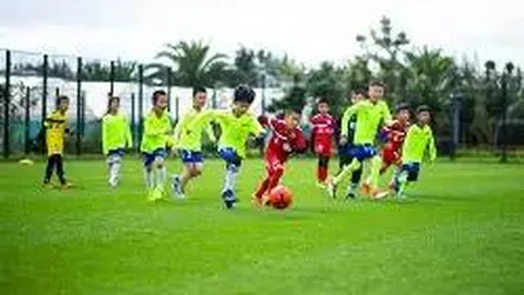 开云体育app功能 资讯 111852 0hm