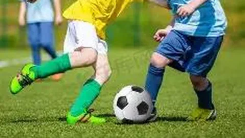 开云体育app功能 资讯 133701 siy