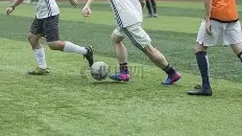 开云体育app功能 产品 133701 zb2