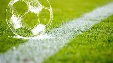 开云体育app功能 产品 135421 ve0