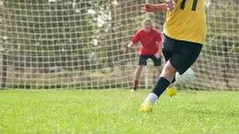 开云体育app功能 产品 101558 66u