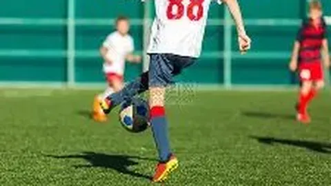 开云体育app功能 资讯 111441 f0x